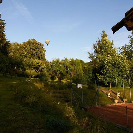 Chateau Radvanov Pension Mlada Vozice Exteriör bild