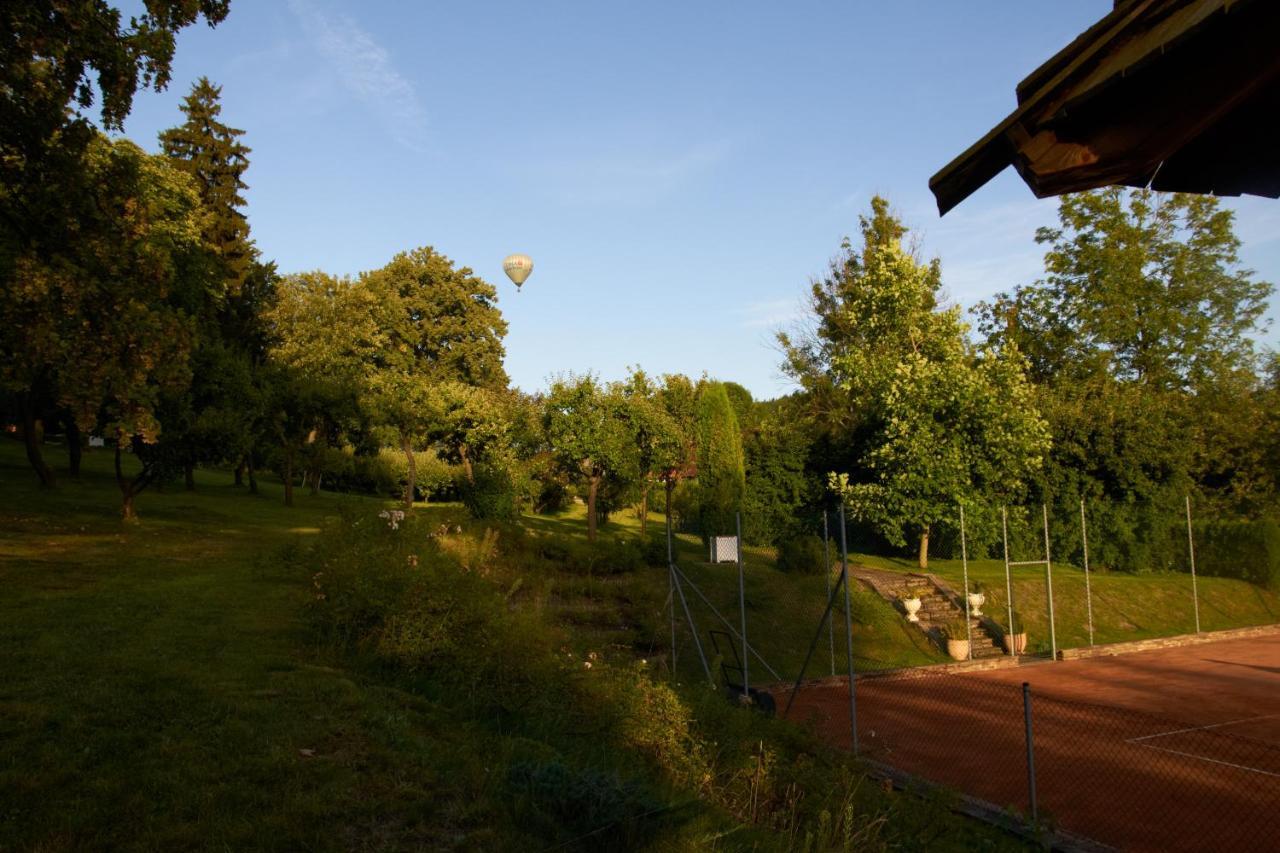 Chateau Radvanov Pension Mlada Vozice Exteriör bild